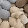 Капці домашні чоловічі Teddy grey